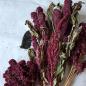 Preview: Amaranth-Rispe rot getrocknet 1kg