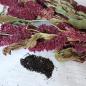 Preview: Amaranth-Rispe rot getrocknet 1kg