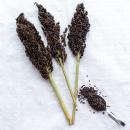 Sorghum schwarz halbreif 1 kg -neue Saison ab August 2025-